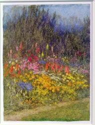 Un coin de bordure automnale